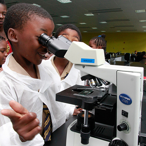 Learning how to use a microscope.